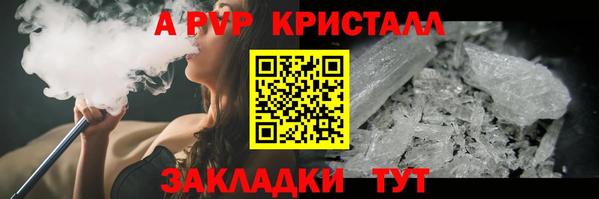 A PVP СК КРИС Новозыбков