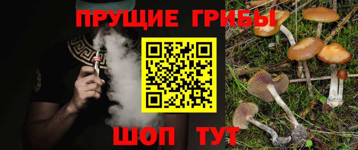 Новозыбков  Псилоцибиновые грибы мицелий  Галлюциногенные грибы Psilocybe  Вход с VPN 