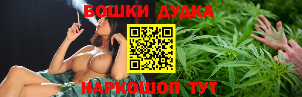 МАРИХУАНА ГИДРОПОН Новозыбков
